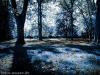 Beautiful landscape 2