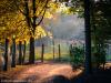 Beautiful landscape 3