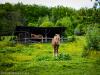 The horse is watching you