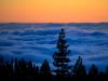 Over the clouds